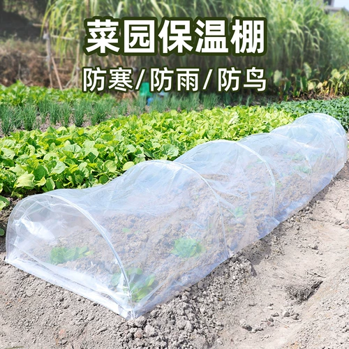 На открытом воздухе цветочный сара