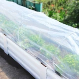 На открытом воздухе цветочный сара