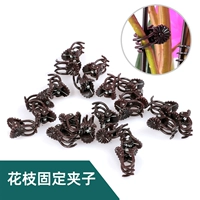 Популярность Pro -live Vishing Flower Wall Wanging Minialist Пластиковая пластиковая зажим