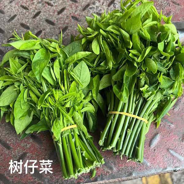 天绿香树仔菜:来自海南五指山的新鲜野菜,顺丰空运直达你的餐桌!-冷冻蔬菜-淘宝好物网