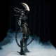 52TOYS Lightning Dance Alien 1/12 Action Figure Figure Ornament Gift Trendy Toy