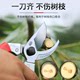 Japan imported Alice 120S-8 pruning shears flower art scissors garden scissors fruit tree shears gardening tools