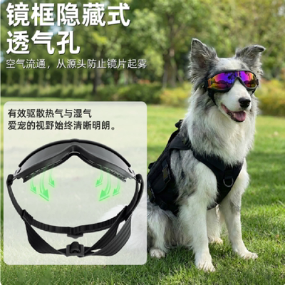 狗狗夏季户外防风防晒护目镜