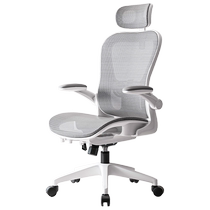 Ergonomic chair waist protection computer chair home comfortable sedentary office breathable back seat e-sports chair