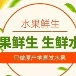 水果鲜生每天优选