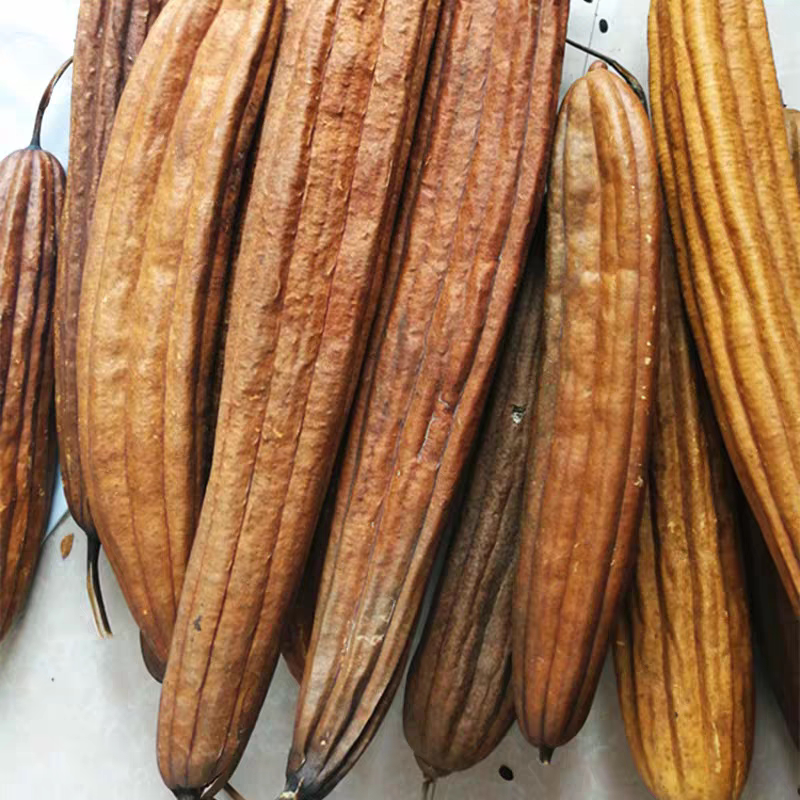 Old Loofah with Skin and Shell Boiled in Water to Make Tea, Promote Lactation, Dispel Dampness, Used as a Medicinal Material, Scouring Pad for Washing Dishes, Decorative Item