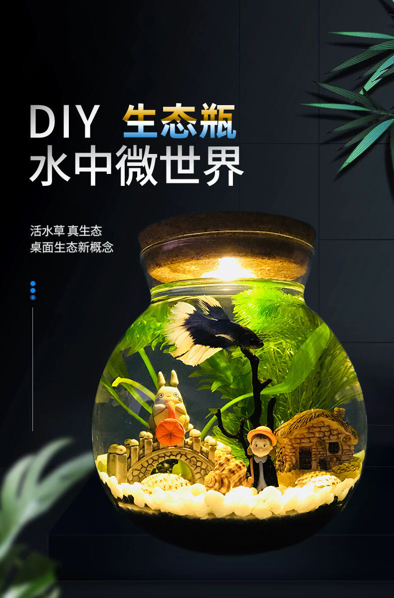 新品促銷生態魚缸生態瓶微景觀水族箱造景斗魚缸創意缸辦公桌面書桌客廳觀賞玻璃缸卡洛琳免運 Yahoo奇摩拍賣