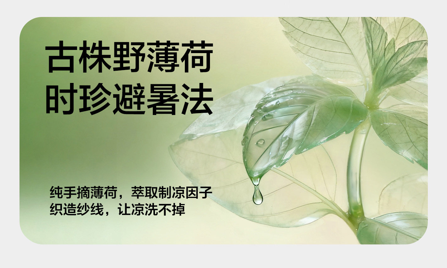 Image120_195133_2