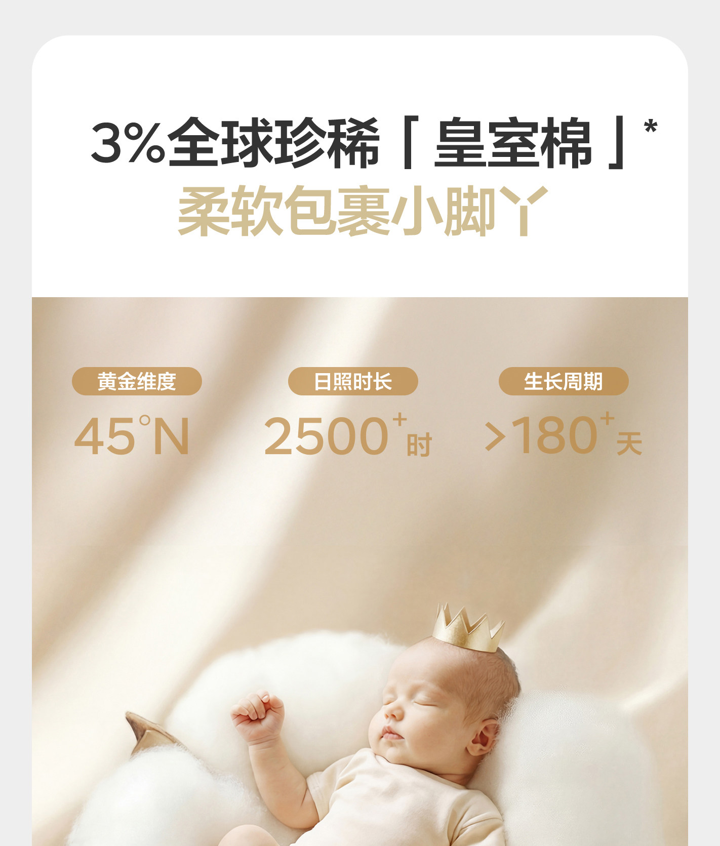 babycare婴儿袜子薄款女童棉袜新生儿男童地板袜宝宝儿童袜夏季 — 7