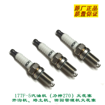 Ditch Peilizer Pastoral Management Machine Engine Lishen 270 Gasoline Engine 177F-5 spark plug