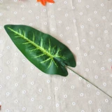 [Сестра Яер] Шелковая сеть цветочнико