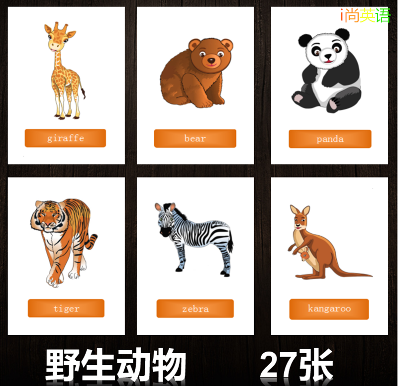 Wild Animal 英語單字閃卡卡片野生動物英文幼兒園小學教師教具 Wild Animal 英語單字閃卡卡片野生動物英文幼兒園小學教師教具