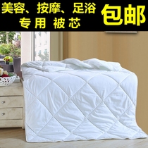 High-end Beauty Bed Quilt Quilt Core Beauty Salon Beauty Body Massage Bed Cover Matching Spring Autumn Quilt Core Thickened Warm Winter Quilt