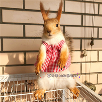 Squirrel thumb monkey flower branch mouse super cute little dress small skirt summer thin skirt chest puffy skirt open