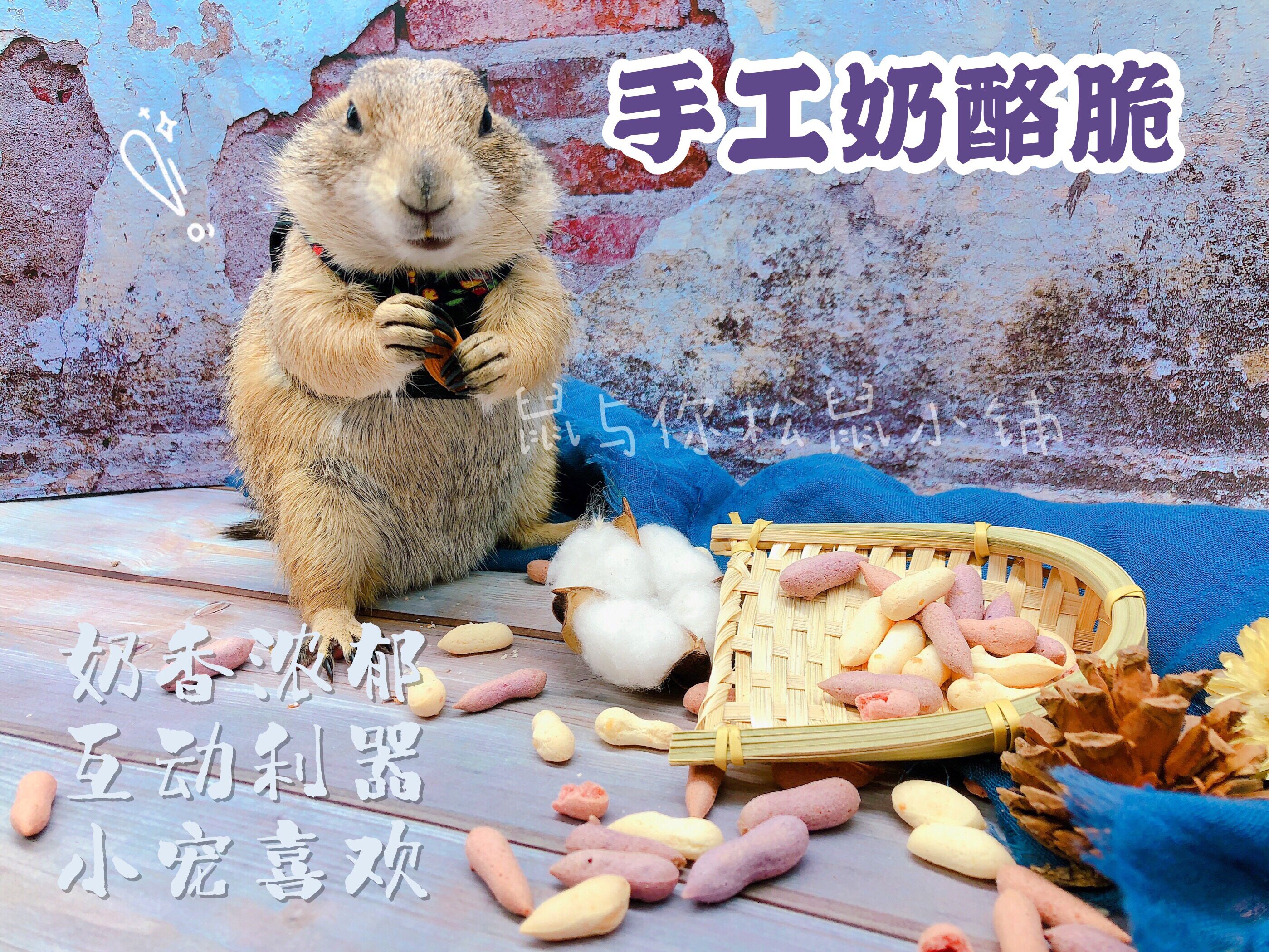 Handmade Cheese Biscuit Crisp Dragon Cat Squirrel squirrels Squirrel Rabbit Nectar Bag for Interactive Snacks Fruits And Vegetables Taste