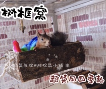 Paulownia bark nest practical hammock nest squirrel chinchat Groundhog Groundhog fly squirrel hammock swing nest