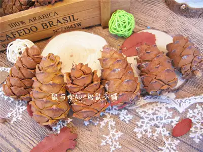 Squirrel food staple masson pine tower a catty of groundhog parrot snacks wild masson pine tower a catty