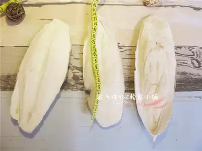 Small pet supplies special cuttlefish bone squirrel hamster ChinChin rabbit Dutch pig natural calcium supplement molars