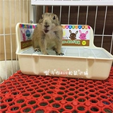 Туалет маленького питомца. Одиночный винт фиксированный против подъема тоторотальной сосновой крыси