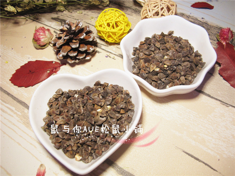 (Rat and You) Snack Buckwheat Rich in Dietary Fiber Conditioning Stomach Snack 100g Squirrel Hamster