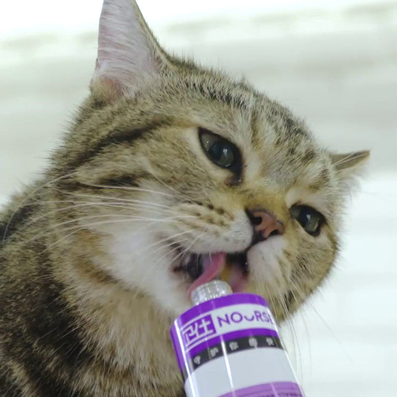 Wei Shi Hua Mao cream 120g cat hair cream to remove hair ball conditioning gastrointestinal pet nutritional supplements 2 pieces