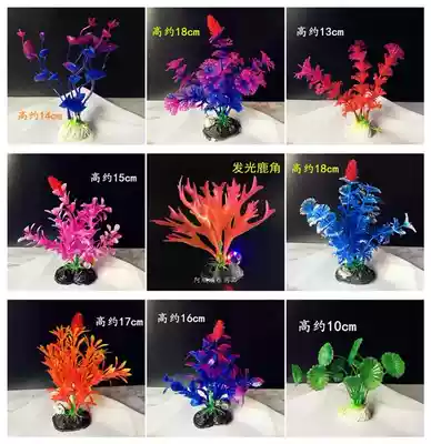 Hotel aquatic grass plate ornaments sea grass plate decoration creative embellishment flower Sacca dish around the edge mood dishes platter pieces