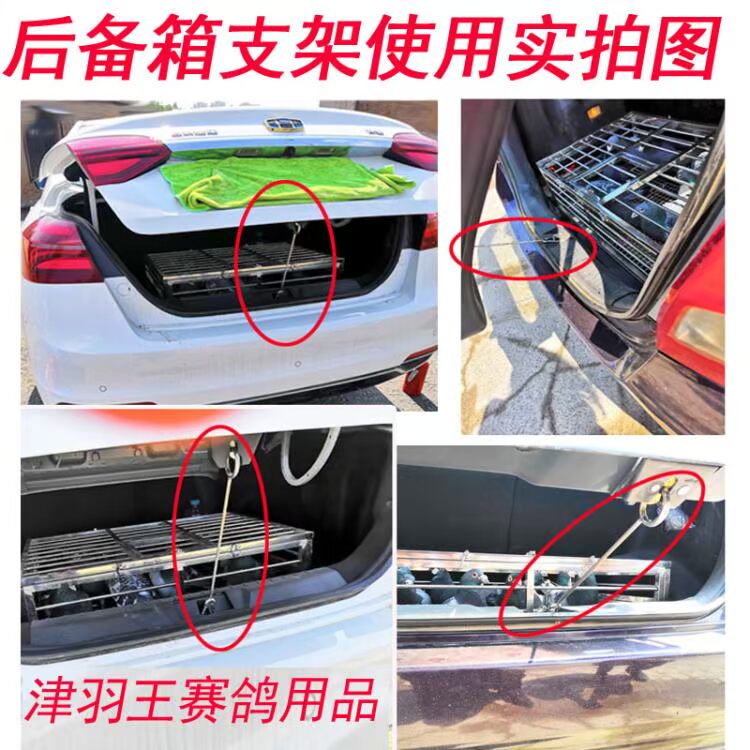 Chim bồ câu Jin Yu Wang Xin cung cấp thiết bị đua chim bồ câu lồng nhựa bay lồng huấn luyện lồng báo cáo lồng đặt chuồng chim bồ câu - Chim & Chăm sóc chim Supplies cám cho chim