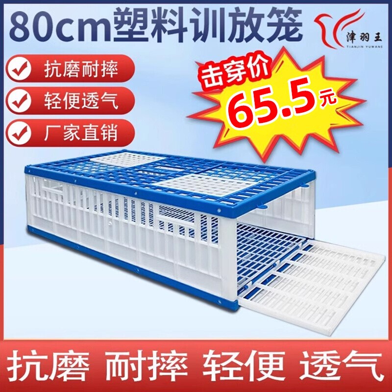 Pigeon Release Cage, Large Pigeon Cage, Household Plastic Special Release Cage, Foldable Pigeon Training Cage, Racing Pigeon Training and Release Cage Pigeon Release Cage, Large Pigeon Cage, Household Plastic Special Release Cage, Foldable Pigeon Training Cage, Racing Pigeon Training and Release Cage