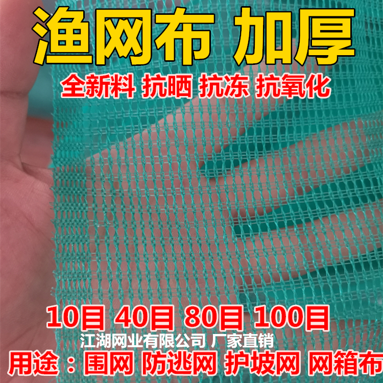 Fishing net cloth breeding purse seine 10 mesh 40 mesh mesh cloth frog crayfish crab loach eel anti-escape slope protection mesh