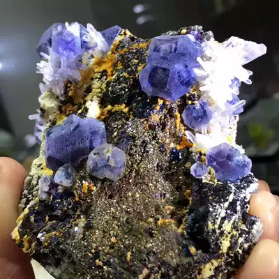 Outer blue Inner purple fluorite crystal pyrite symbiotic natural mineral crystal specimen decoration Rock teaching popular science