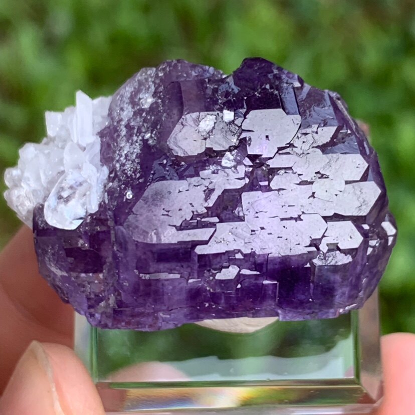 Fujian purple fluorite calcite crystal symbiosis color and luster good natural mineral crystal cat mine collection popular science