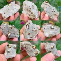 Guangxi natural dodecahedral pyrite ornaments original stone ore mineral crystal geology teaching specimen collection