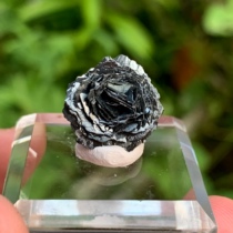 Dream Meet Mine Crystal Nemonoscope Iron Ore Flowers Natural Mineral Crystal Specimen Cat Mine Boutique Collection Pendulum