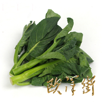 Fresh fine kale 1 pound of small kale fresh vegetables