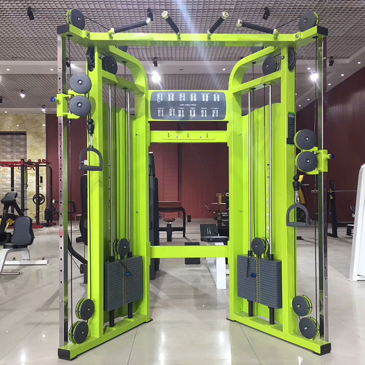 Birds Bird Dragon Terminal Trainer Practice Equipment Commercial Home Gym