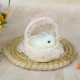 Кожаная одиночная маленькая кролика Baby Baby+Fean Corpet, чтобы получить 1 пену маленькую редьку