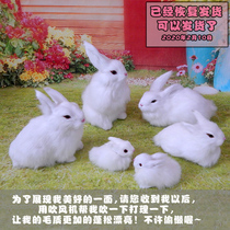 Simulation animal white rabbit fake rabbit Simulation rabbit model leather plush Rabbit desktop ornaments Zodiac rabbit
