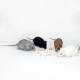 Имитационная игрушка мыши цельная мыши модель фальшивая мыши моделирование мыши подарков на День дурака, Spoof Toys