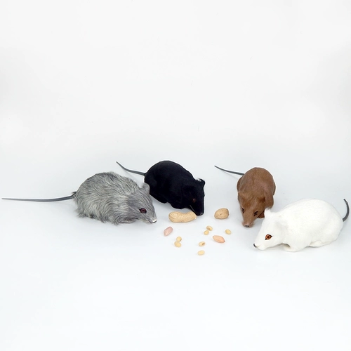 Имитационная игрушка мыши цельная мыши модель фальшивая мыши моделирование мыши подарков на День дурака, Spoof Toys