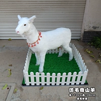 Мао да Шусанг посылает маленьких овец