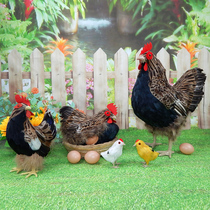 Simulation Chicken Poultry Animal Cognition Model Big Red Rooster Pendulum Pieces Fake Hatching Eggs Old Hens Small Earth Chickens Play Props