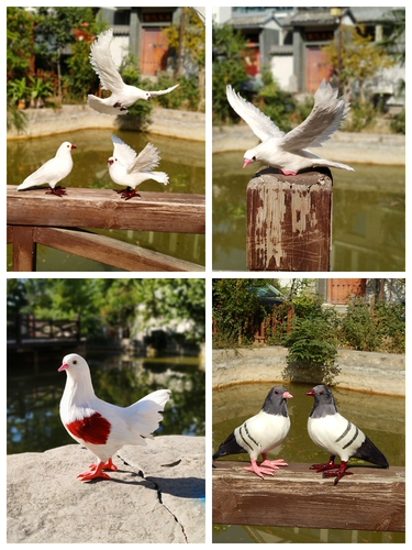 Покупайте товары: украшения с имитацией голубя, куклы-фальшивые голуби, свадебные украшения, модели голубей-животных, птицы, мягкие изделия и реквизит с голубями мира.