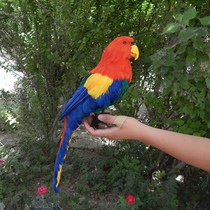 Simulation parrot model color big parrot decoration props ornaments Feather birds flower parrot simulation animal decoration