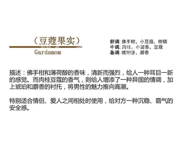 Nhận nuôi Adotute Cardamom Hương Cardamome Spicy Frag Frag Limited Cool Counters Hot Lasting nước hoa hermes nam