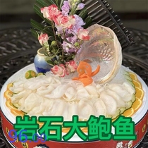 Australian Style Rock Extra-large Abalone Fresh Frozen Aquatic Abalone Meat Day Material Sashimi Hot Pot Wine Mat with a shell