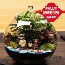 Moss Micro Landscape Swing at Miyazaki Miyazaki Cat Bonsai Eco Bottle Diy Material New Year Birthday Gift Microscape