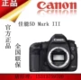 Thân máy đơn Canon / Canon 5D3 Canon EOS-5D Mark III Máy ảnh kỹ thuật số DSLR mới 5D4 - SLR kỹ thuật số chuyên nghiệp máy ảnh giá rẻ dưới 500k