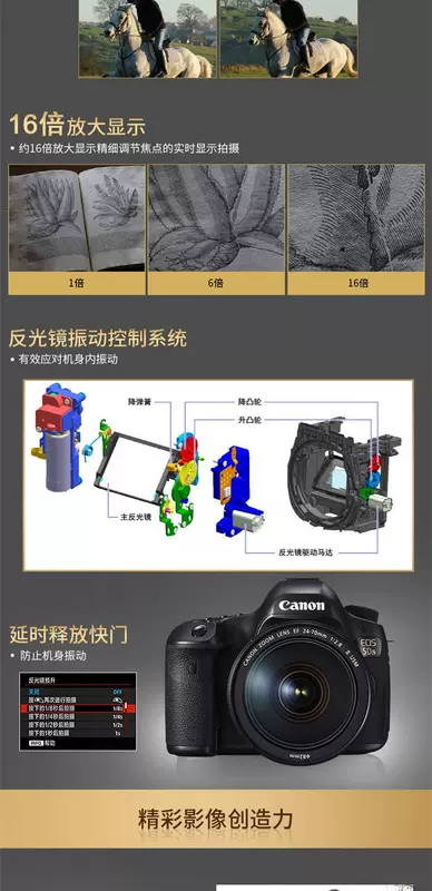 Bộ body kit đơn Canon / Canon 5DS Máy ảnh DSLR kỹ thuật số DSLR pixel pixel cao 5D4 1DX2 5DSR - SLR kỹ thuật số chuyên nghiệp