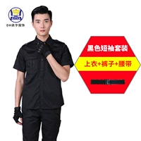 Футболка, штаны, ремень, короткий рукав