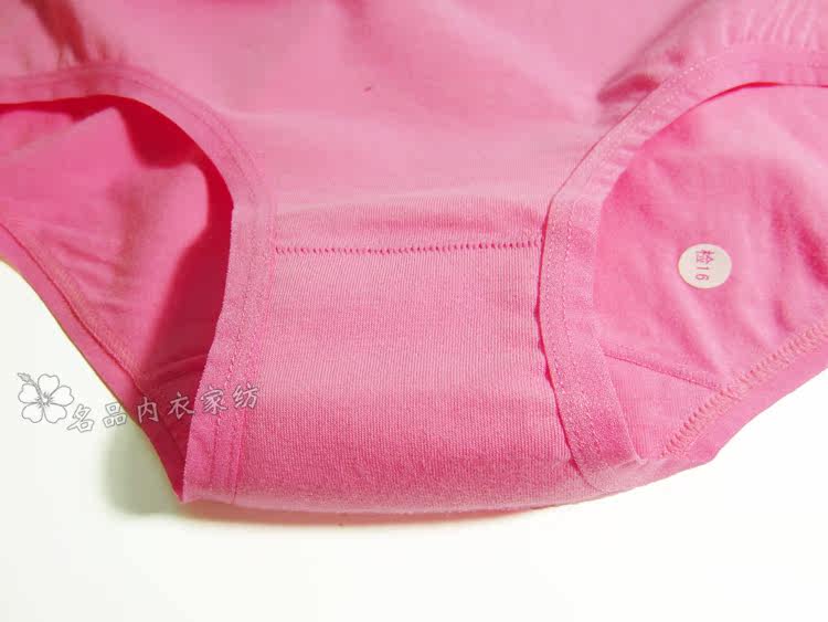 Slip jeunesse GRACE simple en coton - Ref 646380 Image 17